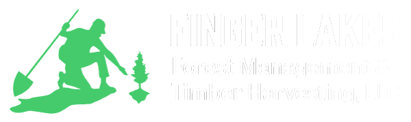Finger Lakes Forest Management & Timber